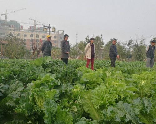 �����������ġ�����ũ����������